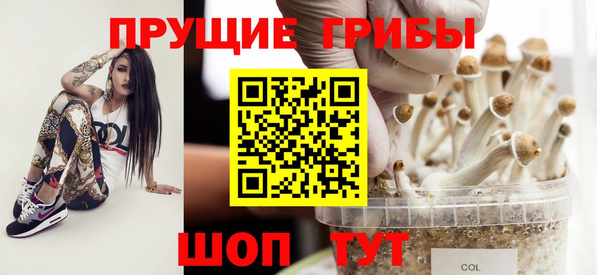 Псилоцибиновые грибы ЛСД Новороссийск