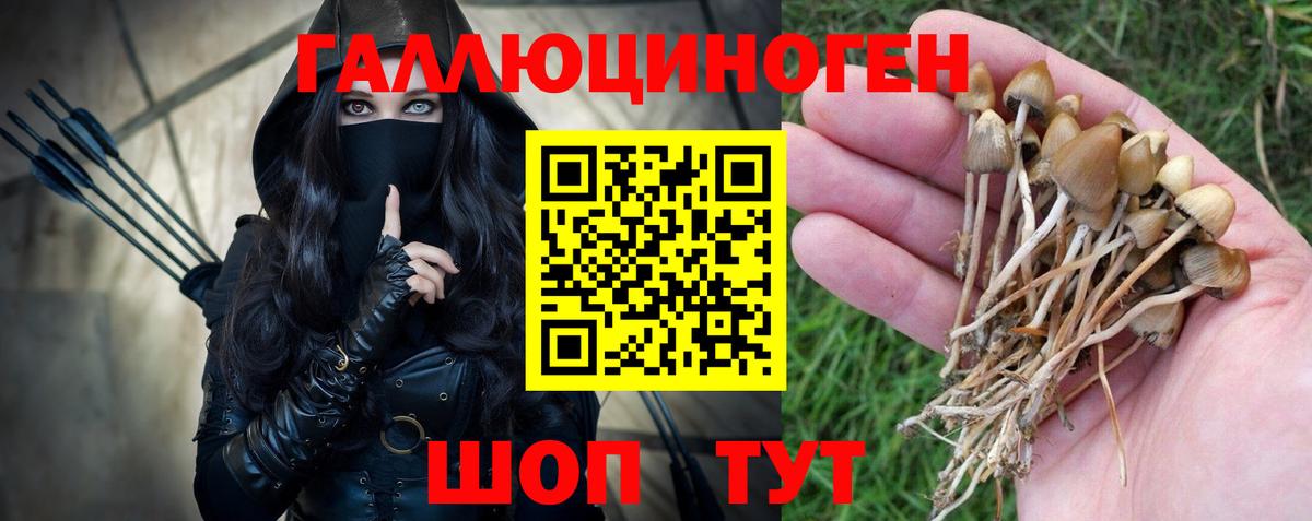 Конопля  Вейп ТГК  Новороссийск  Меф МЯУ МЯУ кристаллы  ГАШИШ  COCAIN  Вход с VPN 