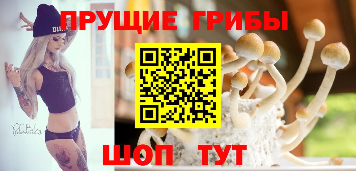 Галлюциногенные грибы мицелий  Вход с VPN  Новороссийск 